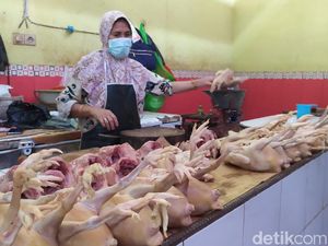 Harga Pakan Jadi Penyebab Daging Ayam di Lamongan Naik Harga Pakan Jadi Penyebab Daging Ayam di Lamongan Naik