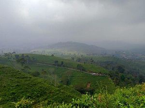 Jalan-jalan Ke Kebun Teh Kemuning, Wisata Asri di Karanganyar Jalan-jalan Ke Kebun Teh Kemuning, Wisata Asri di Karanganyar