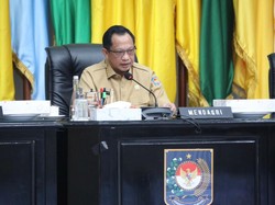 Mendagri Ungkap Masalah Klasik di Balik Harga Beras Naik