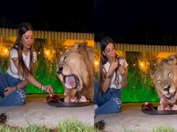 Ngeri Sedap! Wanita Cantik Ini Makan Daging Sepiring dengan Singa