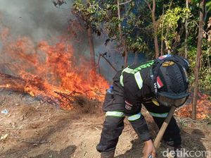 5 Jam Petugas Berjibaku Padamkan Kebakaran Hutan di Kuningan
