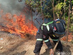 5 Jam Petugas Berjibaku Padamkan Kebakaran Hutan di Kuningan