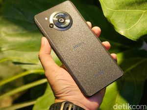 Foto Hasil Jepretan Sharp Aquos R7S Nan Menawan