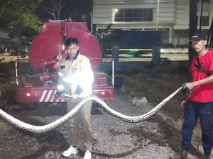 Warga Indramayu Kaget Ular Sanca 4 Meter Berkeliaran di Jalan Gang