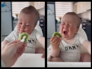 Viral Ekspresi Gemas Bayi Coba Makan Kiwi, Ditonton 11 Juta Kali! Viral Ekspresi Gemas Bayi Coba Makan Kiwi, Ditonton 11 Juta Kali!