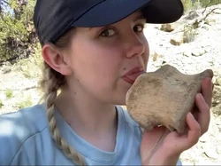 Sering Disebut Aneh, Ternyata Ini Alasan Geolog Jilat Bebatuan