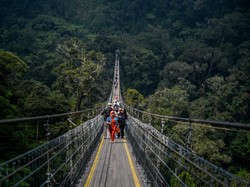 Tips Naik Rengganis Suspension Bridge, Tiket Paketan, dan Larangan