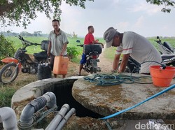 BNPB Soroti Bahaya Kekeringan, 23 Ribu KK di Pulau Jawa Krisis Air