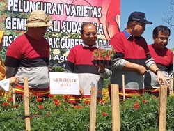 Koster Klaim Gemitir Bali Sudamala Bisa Setop Impor Rp 30 Miliar