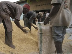 Mungkinkah Bahan Pangan Ukraina Diekspor Lewat Kroasia?