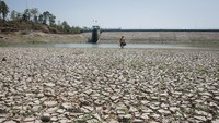 El Nino 'Godzilla' 2026 Diprediksi Picu Kemarau Ekstrem di RI