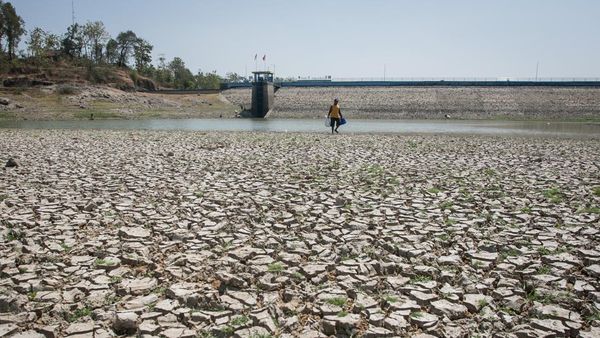 Agustus hingga September jadi Puncak Kemarau di Indonesia