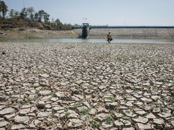 El Nino Godzilla 2026 Diprediksi Picu Kemarau Ekstrem di RI
