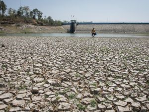 Sampai Kapan Fenomena El Nino Hantam RI? Ini Kata BMKG