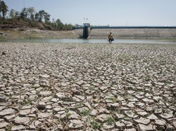 Dampak El Nino Sangat Parah, Produksi Beras hingga Sawit Bakal Anjlok