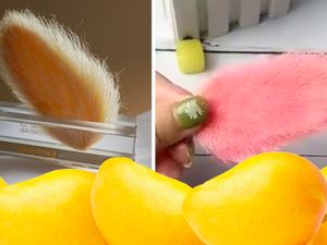 Tren Aneh, Anak Muda di China Pelihara dan Dandani Biji Mangga