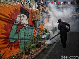 Waspada DBD di Ibu Kota, Sunter Agung Jakut Rutin Fogging
