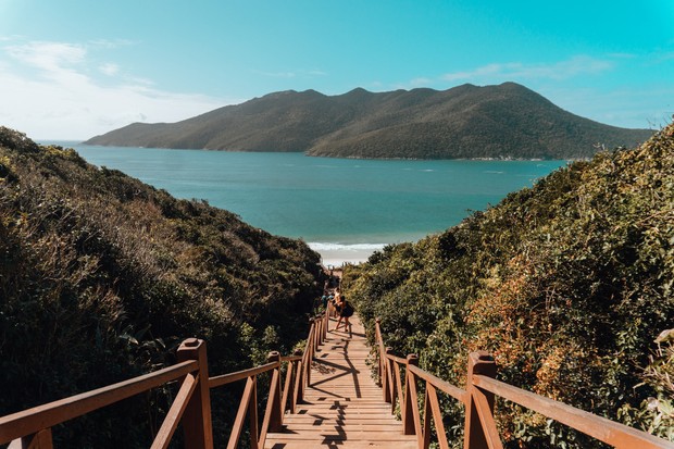 Foto:Freepik/wirestock