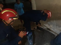 Ular Kobra Berkeliaran di Permukiman, Warga Bogor Lapor Damkar