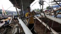 Penjualan Pohon Pinang di Kalimalang Mulai Menjamur