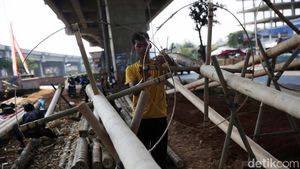 Penjualan Pohon Pinang di Kalimalang Mulai Menjamur