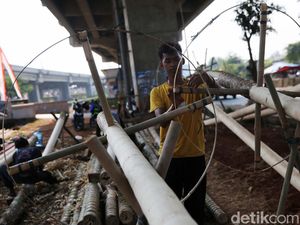 Penjualan Pohon Pinang di Kalimalang Mulai Menjamur Penjualan Pohon Pinang di Kalimalang Mulai Menjamur