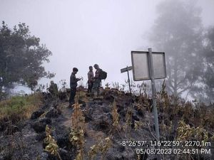 205 Hektare Lahan di Gunung Rinjani Hangus Terbakar, TNGR Pastikan Api Padam