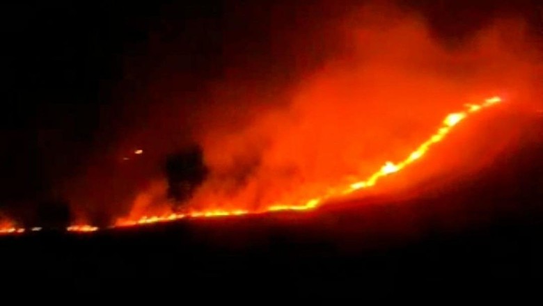 Hutan di Kawah Wurung Ijen Bondowoso Terbakar, 1 Peleton Petugas Diterjunkan