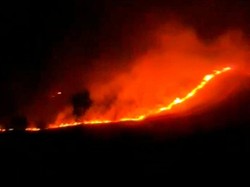 Amuk Jago Merah Bakar 20 Hektare Kawasan Kawah Wurung Ijen Bondowoso