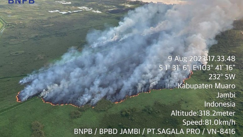 Polisi Cari Pemilik Lahan Terbakar di Muaro Jambi, 4 Saksi Diperiksa