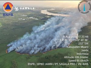 Penampakan Kebakaran Hebat Lahan di Muaro Jambi