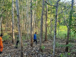 Ditemukan Lemas di Hutan, Remaja Dlingo Ternyata Kabur gegara Minta HP