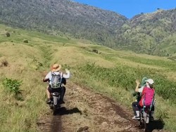 Balai TNGR Akan Atur Izin Ojek Pendaki di Gunung Rinjani