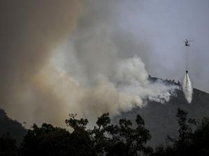 Kebakaran Hutan Portugal Meluas Akibat Panas Ekstrem, 1.400 Orang Mengungsi