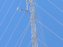 Panjat Tower Setinggi 65 Meter, Pria Kupang Mau Turun asal Bertemu Jokowi