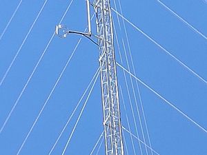 Panjat Tower Setinggi 65 Meter, Pria Kupang Mau Turun asal Bertemu Jokowi Panjat Tower Setinggi 65 Meter, Pria Kupang Mau Turun asal Bertemu Jokowi