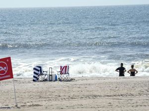 Emak-emak Digigit Hiu hingga Kritis Emak-emak Digigit Hiu hingga Kritis