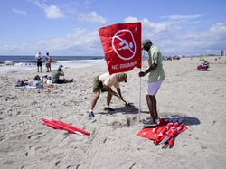 Teror Hiu Saat Liburan di Pantai