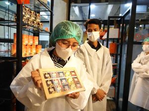 Tokopedia Genjot Transaksi Produk UMKM Cokelat hingga 4 Kali Lipat Tokopedia Genjot Transaksi Produk UMKM Cokelat hingga 4 Kali Lipat