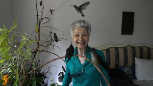 Wanita Meksiko Ubah Apartemennya Jadi Klinik Burung Kolibri