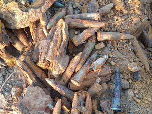 Warga Cirebon Temukan Ratusan Peluru Berkarat di Lahan Kosong