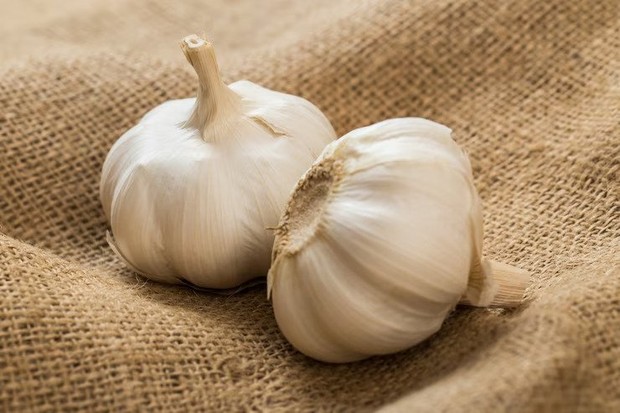 Garlic can repel ants at home