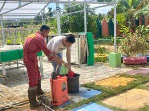 Cerita Dosen Polsri, Ubah Kulit Bawang Merah & Telur Jadi Pupuk Cair Organik Cerita Dosen Polsri, Ubah Kulit Bawang Merah & Telur Jadi Pupuk Cair Organik