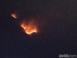 Gunung Andong Magelang Terbakar, Jalur Pendakian Ditutup