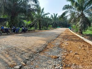20 Tahun Menanti, Akhirnya Warga di Bengkulu Punya Akses Pertanian Sawit 20 Tahun Menanti, Akhirnya Warga di Bengkulu Punya Akses Pertanian Sawit