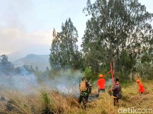 Taman Wisata Ijen Berstatus Siaga Usai 20 Hektare Lahan Hangus Terbakar Taman Wisata Ijen Berstatus Siaga Usai 20 Hektare Lahan Hangus Terbakar