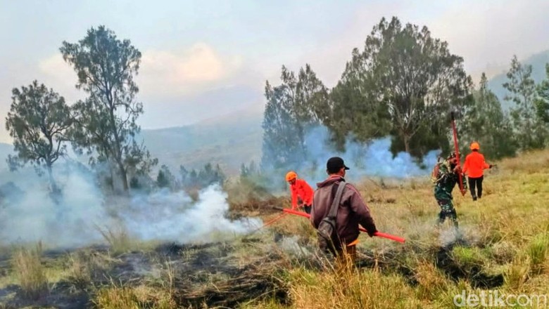 Api yang Bakar 20 Hektare Kawah Kurung Ijen Bondowoso Padam Usai 15 Jam