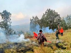Api yang Bakar 20 Hektare Kawah Kurung Ijen Bondowoso Padam Usai 15 Jam