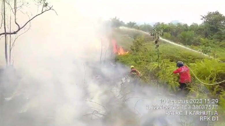 Kebakaran Lahan Terjadi Lagi di Jambi, Kali Ini di Tanjabbar