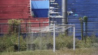 Semak liar tumbuh dan menutupi area lapangan sepakbola di Stadion Kanjuruhan, Malang, Jawa Timur, Rabu (9/8/2023).